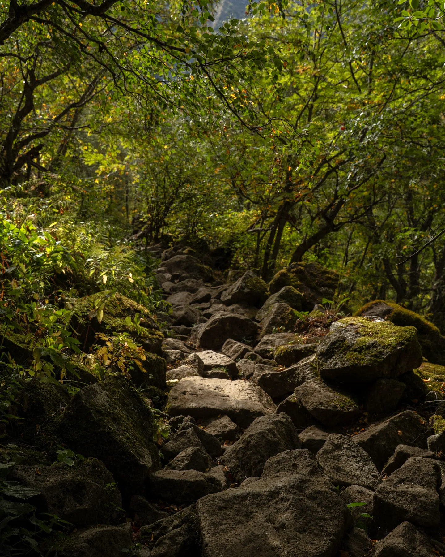 Auvergne — photo de voyage 9, MGZ visuals